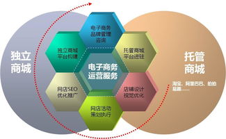 运城电子商务专业分类