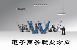 个人电子商务专业发展