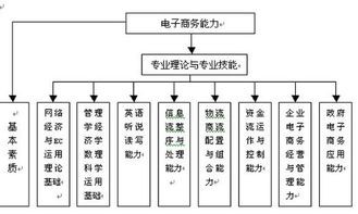 电子商务专升本跨专业