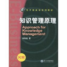 电子商务及知识管理专业