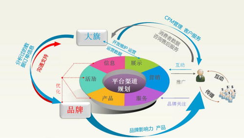 专业类别 电子商务