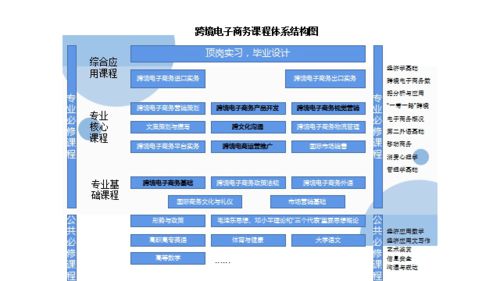 跨境电子商务专业方向