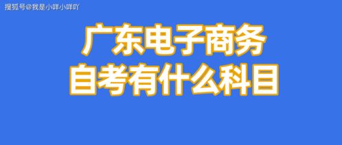 电子商务专业专科自考