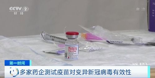 商家紧急回应，民宿发现带血HIV试纸事件，真相竟是……