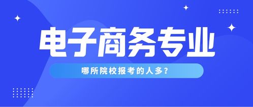 电子商务专业专升本考啥