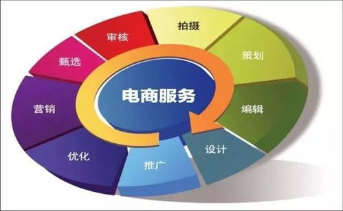 电子商务专业详细有哪些