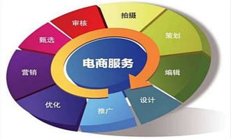 单招电子商务专业排名