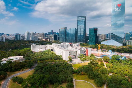 深圳大学专业电子商务