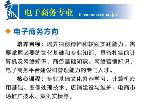 电子商务专业工作计划