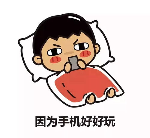 高武出事当天双胞胎哥哥感觉诸事不顺