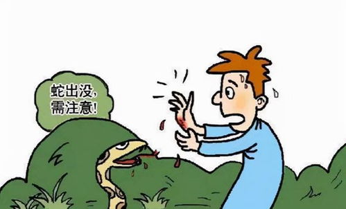 警惕之音，放生毒蛇事件与村民安全
