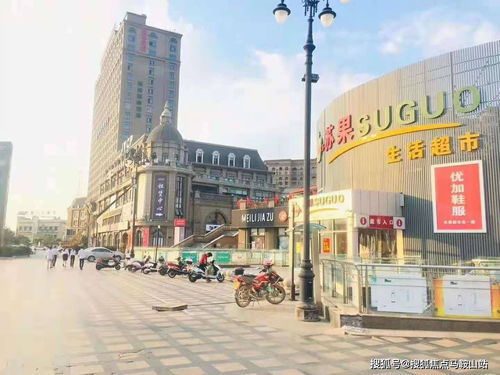 108万买只塑料玩偶只为情绪价值吗