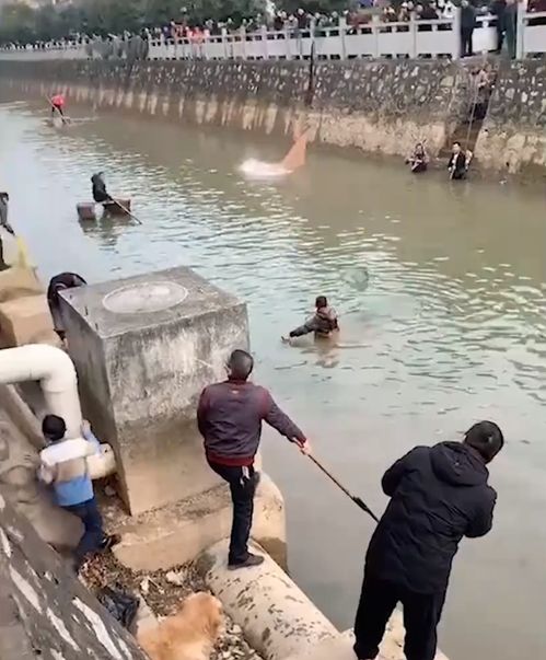 河道现大量钞票系精神障碍患者丢弃
