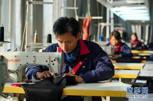 电子商务专业市场清河县