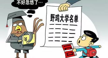 揭秘高考后招考机密，警惕诈骗套路，守护学子利益