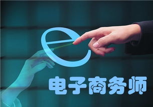 本科有电子商务的专业吗